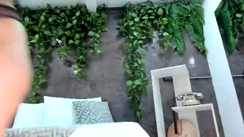 Emily online show from July 26, 2:13 pm