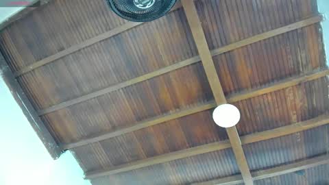 Emily  online show from September 26, 11:03 am