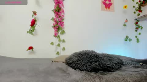 Snapshot of emily_coraline chatting on February 6, 6:35 pm Emily online show from February 6, 6:35 pm