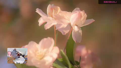 Snapshot of emily_hott1 chatting on November 20, 9:42 am emily hoot1 online show from November 20, 9:42 am