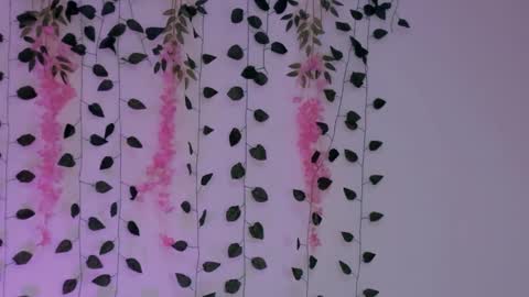 Emily online show from January 30, 2:38 am