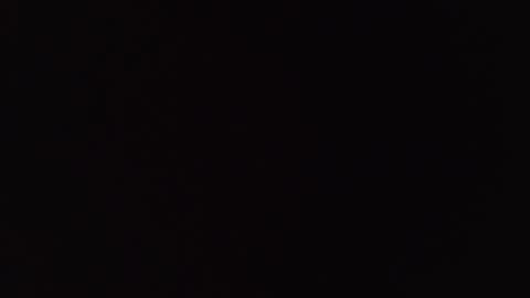       online show from November 13, 12:26 pm