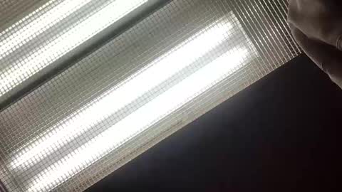 Snapshot of emilyclear chatting on May 14, 8:21 am emilyclear online show from May 14, 8:21 am