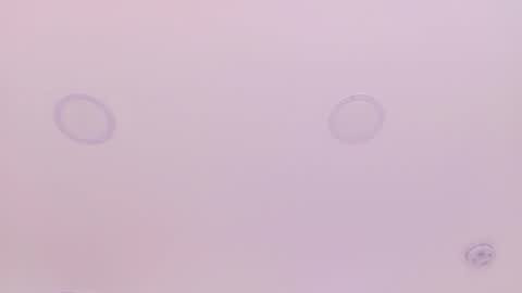 Emily Bank online show from March 29, 7:36 pm