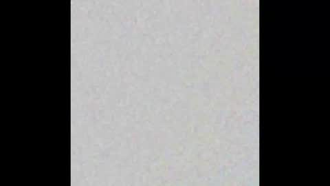 EMILY online show from October 24, 11:39 am