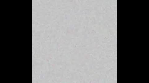 EMILY online show from October 29, 12:07 pm