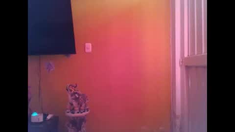 EmmaSplycer online show from April 20, 9:16 pm