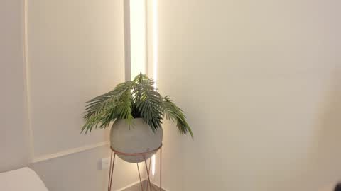 Emmiily online show from January 19, 2:04 am