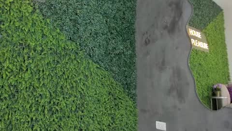 Emmiily online show from January 31, 11:13 pm