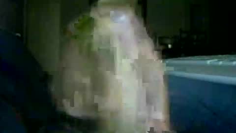 Snapshot of encormoi chatting on November 14, 8:46 am encormoi online show from November 14, 8:46 am