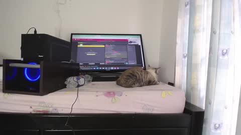 Eolicasextwo online show from January 10, 9:42 pm