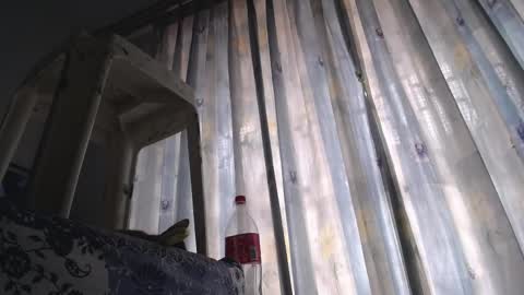 Eolicasextwo online show from February 18, 5:21 pm