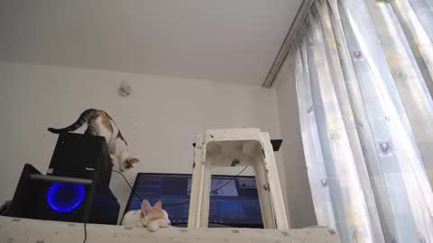 Eolicasextwo online show from March 10, 3:20 pm