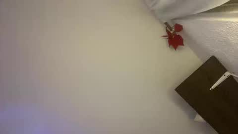 Gabs online show from April 24, 2:03 am