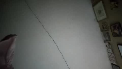 Ernesto online show from February 17, 7:49 am