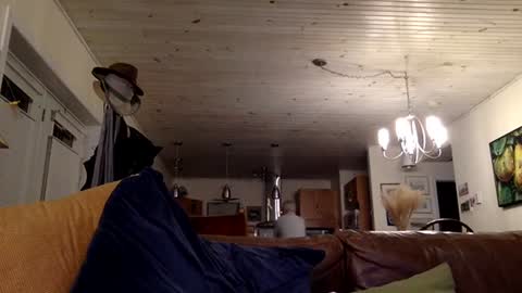 eros online show from December 13, 1:59 am