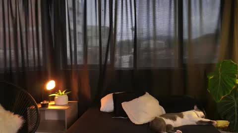 Eros Wild online show from December 16, 9:53 pm