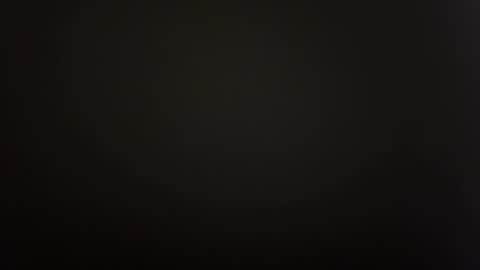 April online show from September 21, 9:33 am