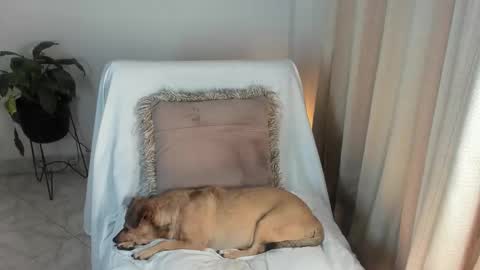 Snapshot of estrellah__ chatting on October 6, 4:10 am - E S T R E L L A  M I L F - online show from October 6, 4:10 am