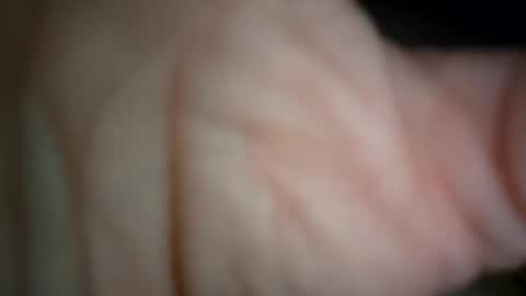 Snapshot of ethereumumm chatting on November 4, 11:31 am ethereumumm online show from November 4, 11:31 am