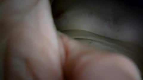 Snapshot of ethereumumm chatting on November 5, 2:33 am ethereumumm online show from November 5, 2:33 am