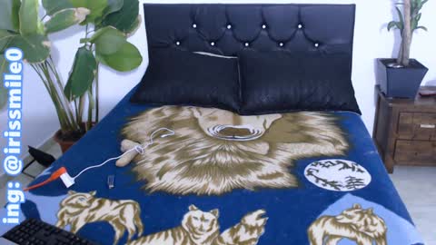 Iris Smile  independent model online show from December 20, 3:36 am