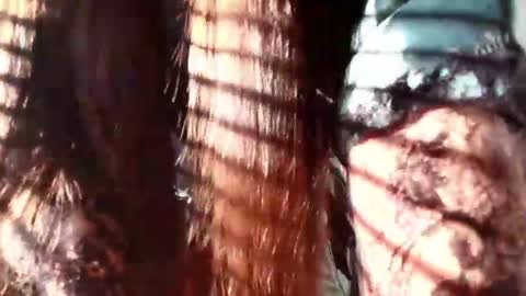 Evaa Depp online show from January 22, 12:27 pm