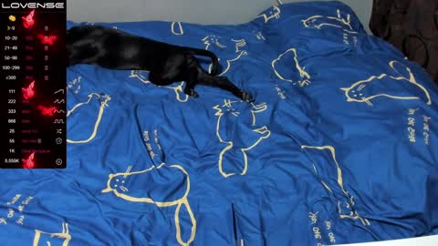 Eva online show from January 19, 1:01 pm