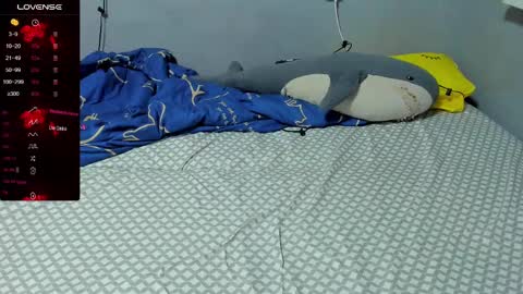 Eva online show from February 19, 2:34 pm