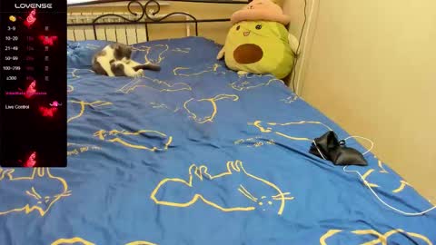 Eva online show from November 2, 10:28 am