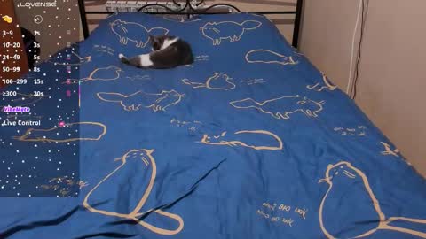 Eva online show from February 8, 2:09 pm