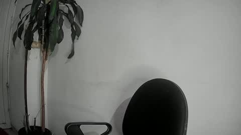 evacollins12 online show from December 2, 12:52 am