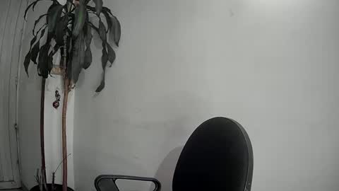 evacollins12 online show from December 9, 1:40 am