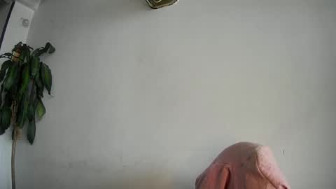evacollins12 online show from February 15, 7:50 pm