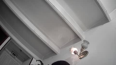 evacollins12 online show from February 25, 12:36 am