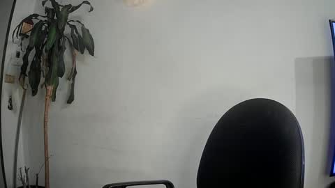 evacollins12 online show from March 12, 2:41 am