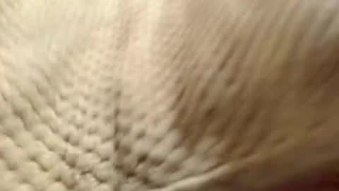 Snapshot of evahootxx chatting on December 14, 7:29 am EVA online show from December 14, 7:29 am