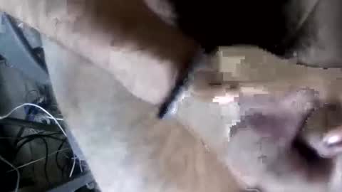 Snapshot of eveline_figeroa3 chatting on June 26, 1:21 am eveline_figeroa3 online show from June 26, 1:21 am
