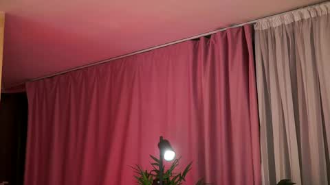 Snapshot of evelyn_evyy chatting on February 9, 7:09 pm Evelyn online show from February 9, 7:09 pm