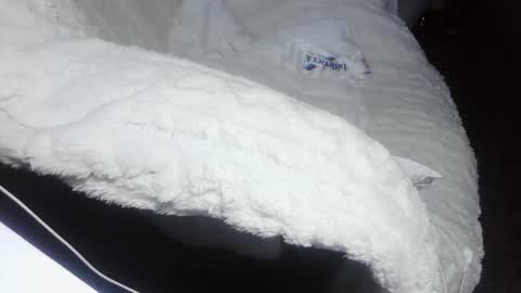 Snapshot of everlasthu chatting on February 9, 1:44 am everlasthu online show from February 9, 1:44 am