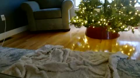 Snapshot of everleighmae chatting on December 9, 1:24 pm Everleighmae online show from December 9, 1:24 pm