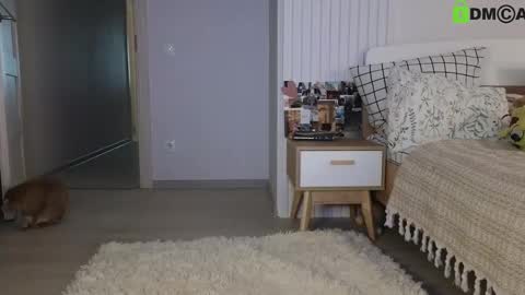 evi_woow online show from February 22, 5:13 pm