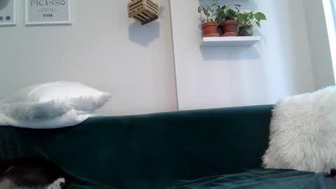 Badblondebunny online show from September 22, 8:55 pm