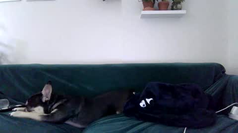 Badblondebunny online show from October 27, 11:41 pm