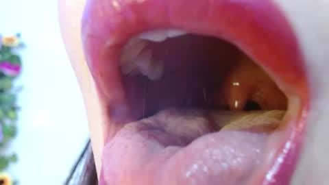 Snapshot of evolethmontenegros chatting on December 15, 9:03 am Evoleth online show from December 15, 9:03 am