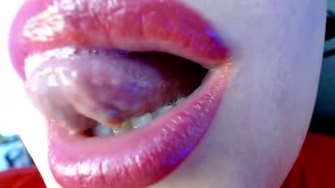 Snapshot of evolethmontenegros chatting on December 28, 1:06 pm Evoleth online show from December 28, 1:06 pm