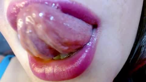 Snapshot of evolethmontenegros chatting on January 15, 3:33 am Evoleth online show from January 15, 3:33 am