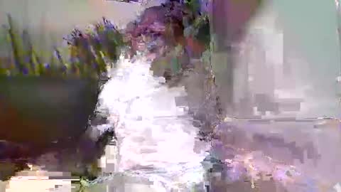 Snapshot of ewaldwillems99 chatting on February 9, 3:49 pm Naaktloper online show from February 9, 3:49 pm