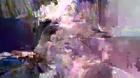 Snapshot of ewaldwillems99 chatting on February 10, 4:22 pm Naaktloper online show from February 10, 4:22 pm