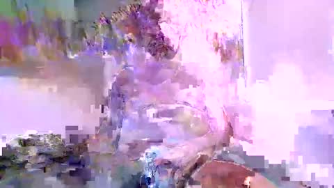 Snapshot of ewaldwillems99 chatting on February 11, 4:56 pm Naaktloper online show from February 11, 4:56 pm